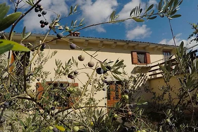 Gospodarstwo w Nedešćinie z basenem