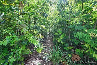 Ferienwohnung am Meer mit Pool
