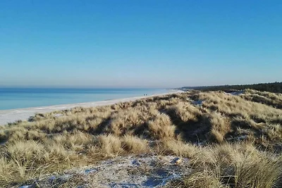 8 Personen Ferienhaus in Rørvig-By Traum