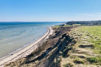 10 Personen Ferienhaus in Roslev