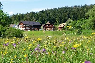 Lautertal nella casa di campagna Anja