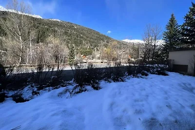 Appartement in Villeneuve bij skiliften