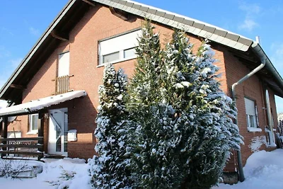Ferienhaus in Wiesbaum mit Barbecue