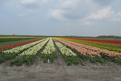 Kinderfreundlicher und gemütlicher Bauernhof