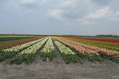 Bauernhaus in Zand in der Nהhe des...