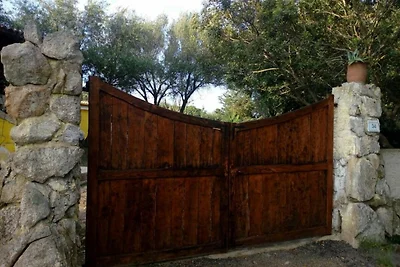 Ferienwohnung in Porto Pollo