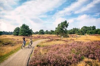 Veluwe-Chalet in Putten nahe dem Zentrum