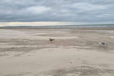 Meeresruhe in Blokhus-By Traum