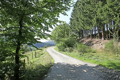 Ferienhaus im Hochsauerland mit Terrasse