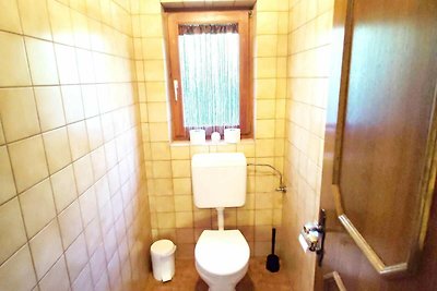 Gruppen-Ferienhaus in Hippach mit Garten und...
