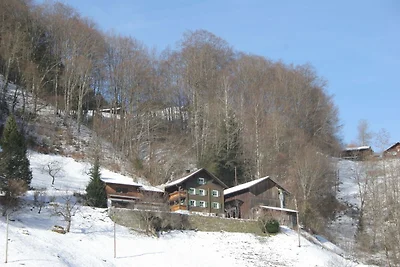 Gemütliches Apartment unweit des Skigebiets i...