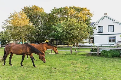 Vakantieappartement met 2 slaapkamers
