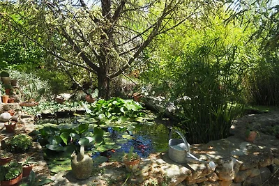 Charmantes Ferienhaus mit Garten und Privatpo...
