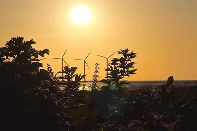 8 Personen Ferienhaus in Glesborg-By Traum