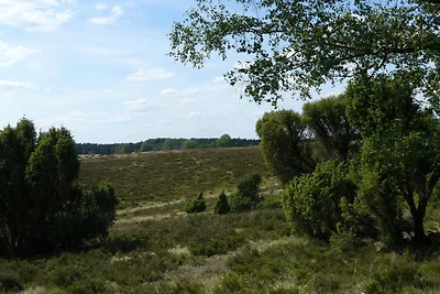 Ferienhaus in der Lüneburger Heide