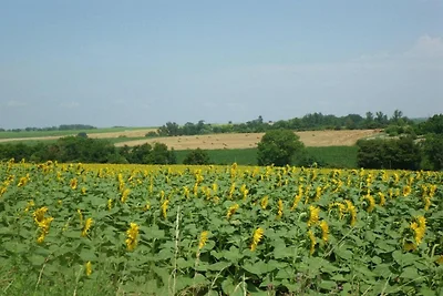 Ecolodge in Frankreich mit Waldidylle