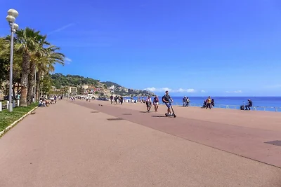 In de regio (zomer) (>5 km) In de regio (zomer) (>5 km)