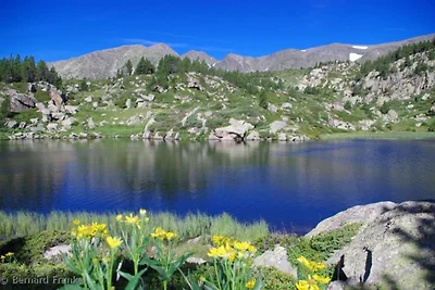 Goelia Residence Het domein van Castella