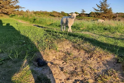 6 persone case ad Løkken-By Traum