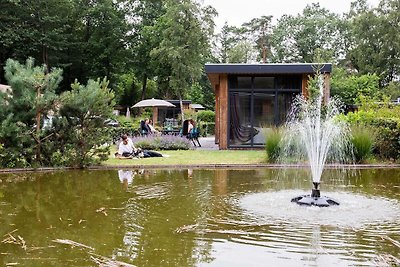 Modern chalet vlakbij Park De Veluwe