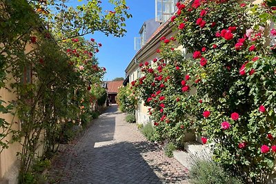 5 sterren vakantie huis in VISBY