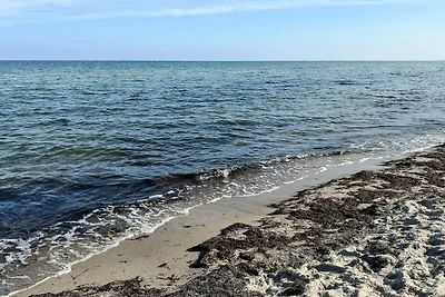 5 Sterne Ferienhaus in Idestrup