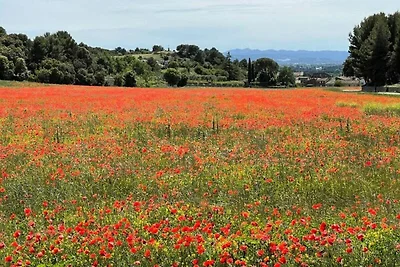 Wohnung in L'Isle-sur-la-Sorgue Provence