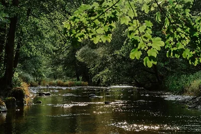 Jacuzzi Retreat, Ardenne
