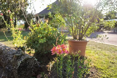 Ambiente / Dettaglio Ambiente / Dettaglio