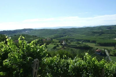 Barbera in der Villa Pesce