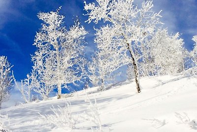 4 Personen Ferienhaus in GEILO