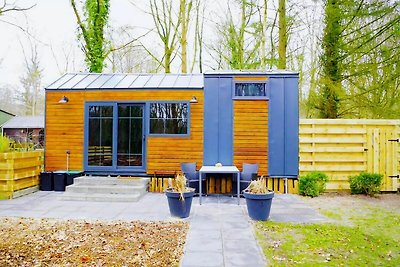 Tiny House in Hoogersmilde met tuin en...