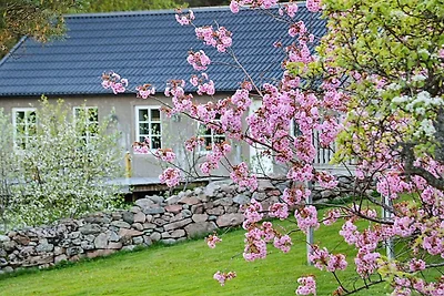 6 Personen Ferienhaus in VAREKIL