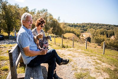 Vakantiewoning ideaal voor fietsers in...