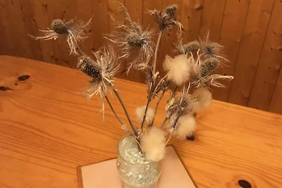 Apartment in der Nähe der Gondelbahn Saint...