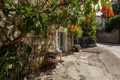 Apartments Kata - Studio Apartment