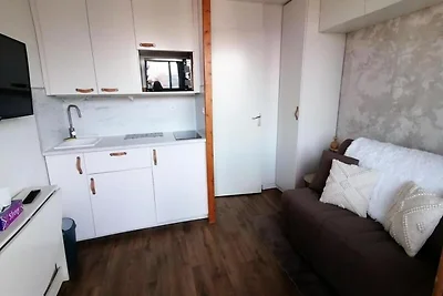 Ferienhaus an den Pisten mit Skizugang