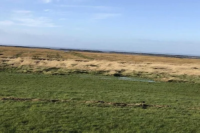 Huis Natuurstrand aan de Diek
