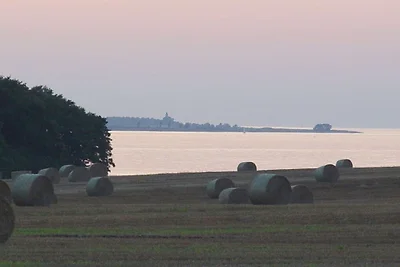 "Ernst Franz" auf dem Gut Friederikenhof