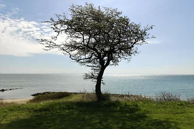 6 Personen Ferienhaus in Juelsminde-By Traum