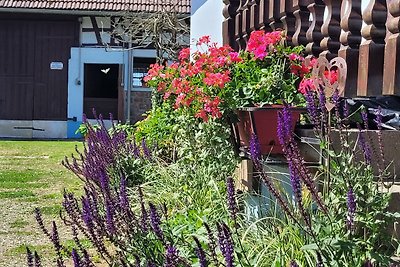 Gezellig vakantiehuis in Schleithal met tuin