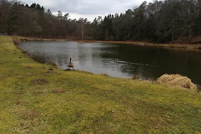 Prachtig chalet bij het bos in Saint-Léger