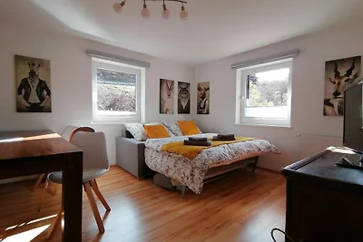 Wohnung in Dienten mit Bergblick