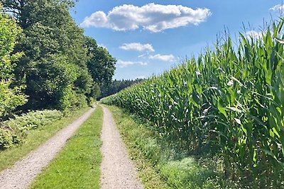 4 Personen Ferienhaus in Hagby