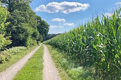 4 Personen Ferienhaus in Hagby