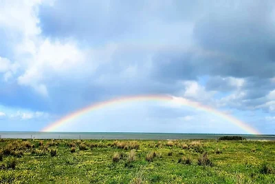 6 Personen Ferienhaus in Hadsund-By Traum
