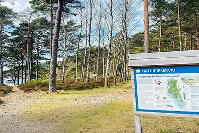 4 Sterne Ferienhaus in MYGGENäS