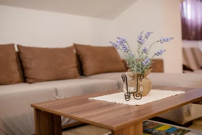 Apartments Scerbe Gordana & Miljenko Rab - On...