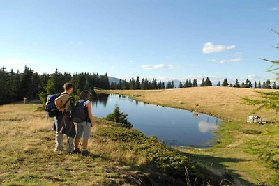 Berghütte Benedikt Komfortable Ferienresidenz