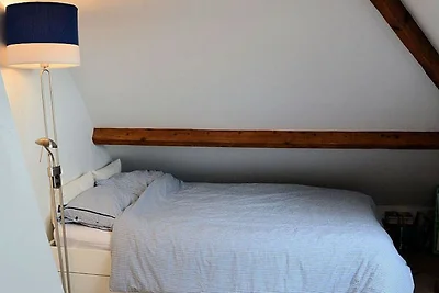 Casa con terrazza sul tetto a L'Aia